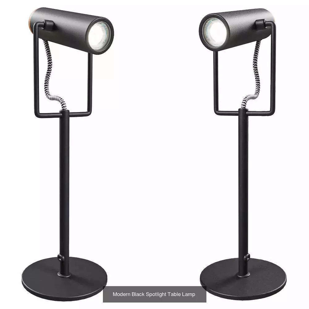 100 Table Lamp combo 3D Model 3D Model Collection_99