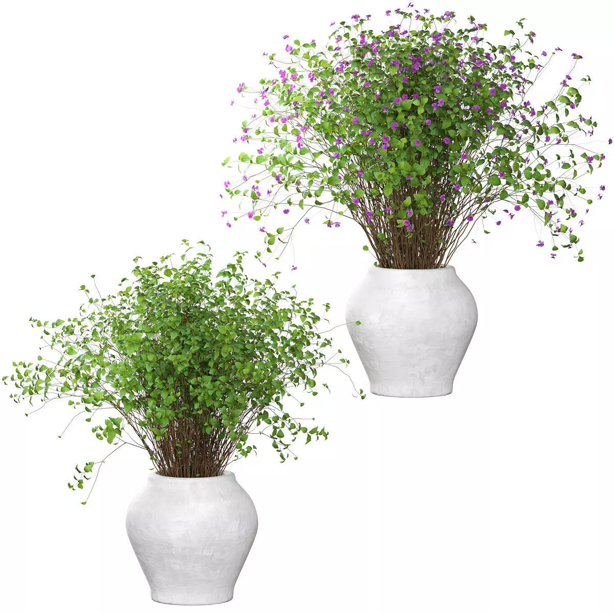 Bouquet dense in a clay pot - 2 models 3D model_0
