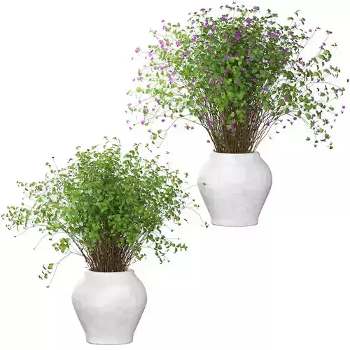 Bouquet dense in a clay pot - 2 models 3D model