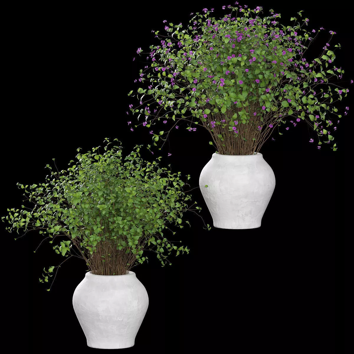 Bouquet dense in a clay pot - 2 models 3D model_1