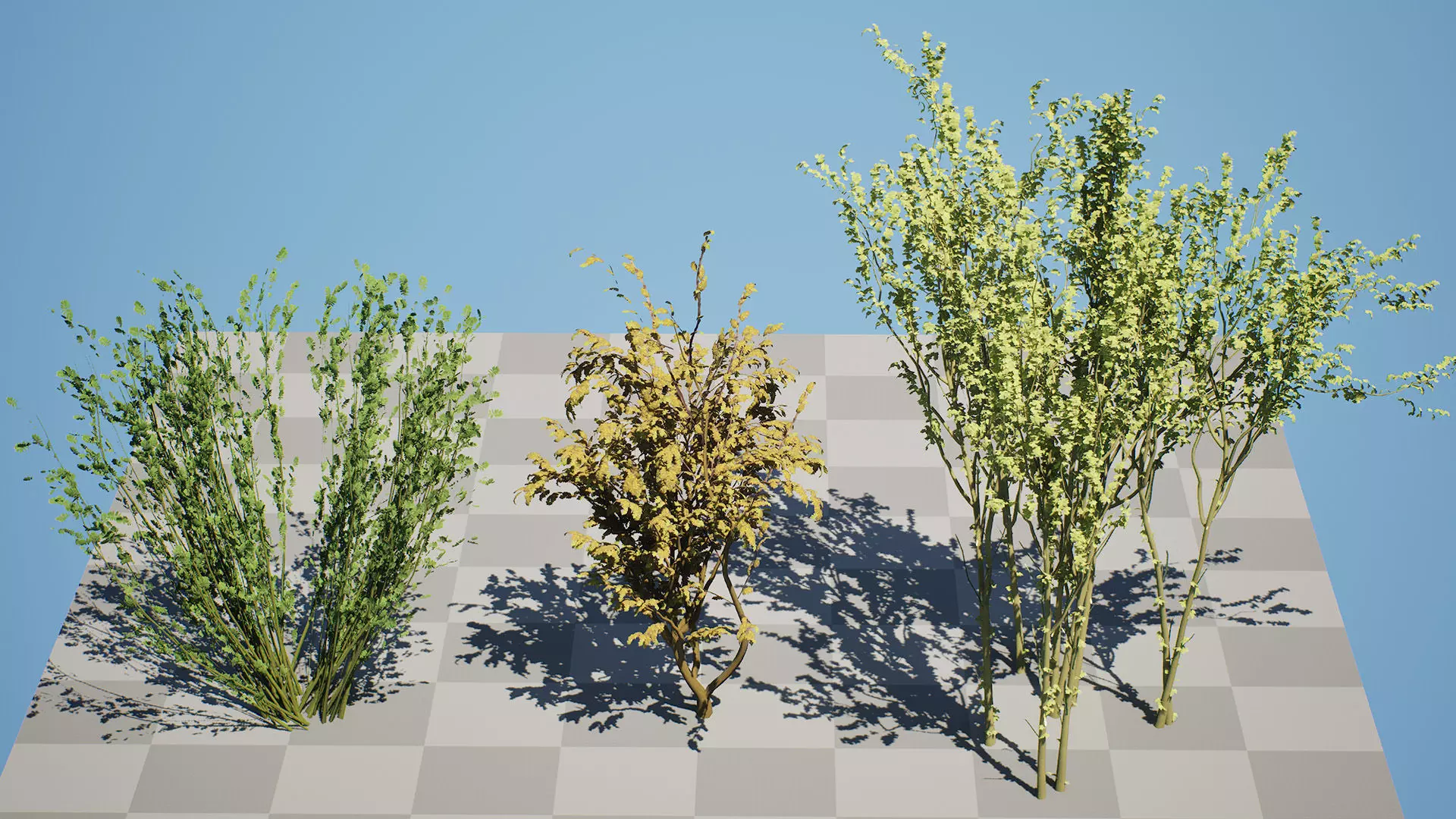 British Arran Whitebeam 3D Model Collection Low-poly 3D model_8