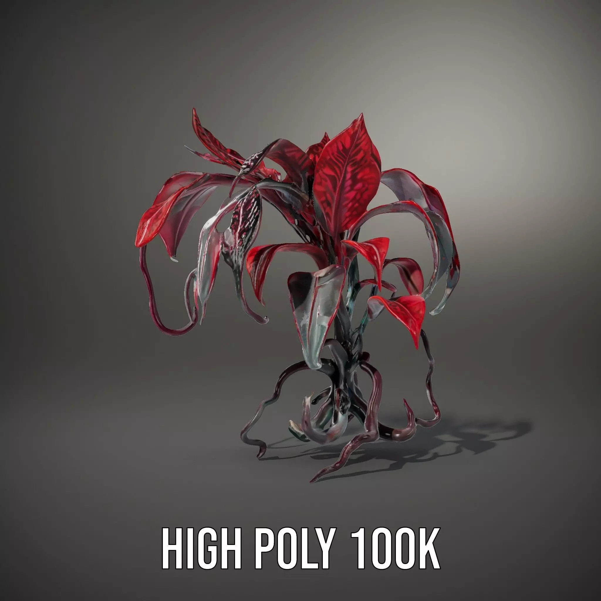 Crimson Foliage Plant model pack Low-poly 3D model_9