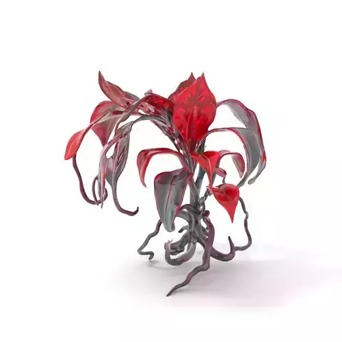 Crimson Foliage Plant model pack