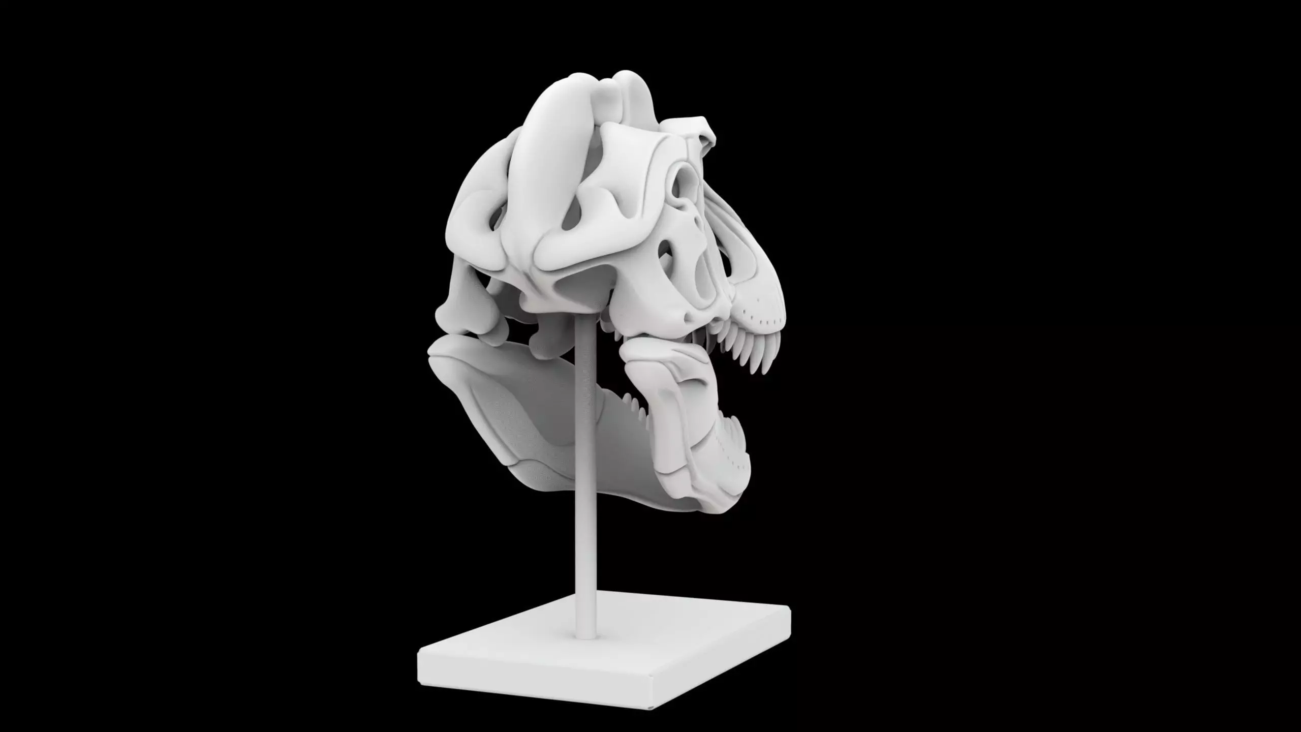 T-Rex Skull Fossil on Stand 3D Print Model 3D print model_4