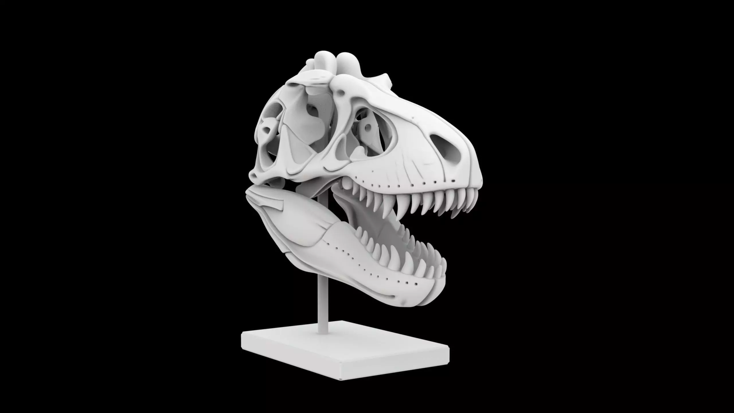T-Rex Skull Fossil on Stand 3D Print Model 3D print model_6