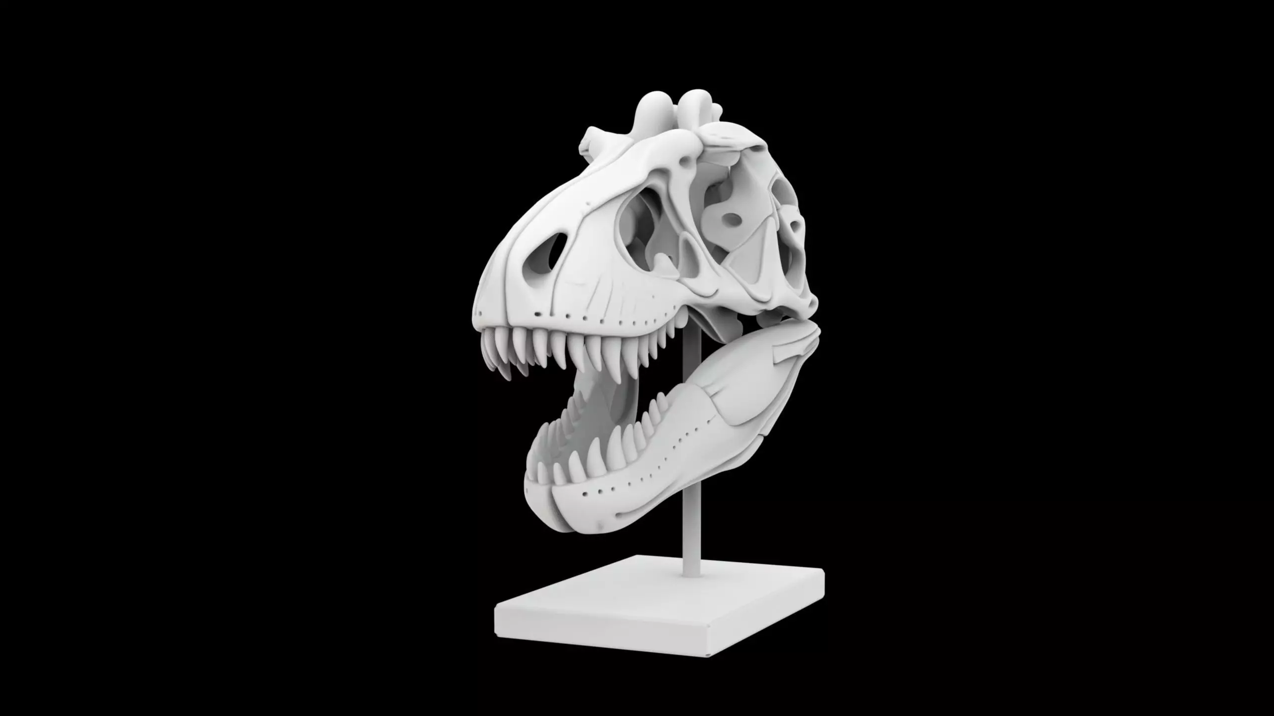 T-Rex Skull Fossil on Stand 3D Print Model 3D print model_1