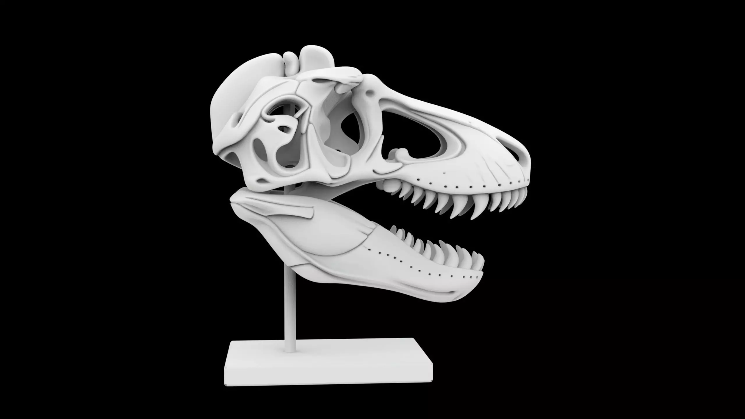 T-Rex Skull Fossil on Stand 3D Print Model 3D print model_5