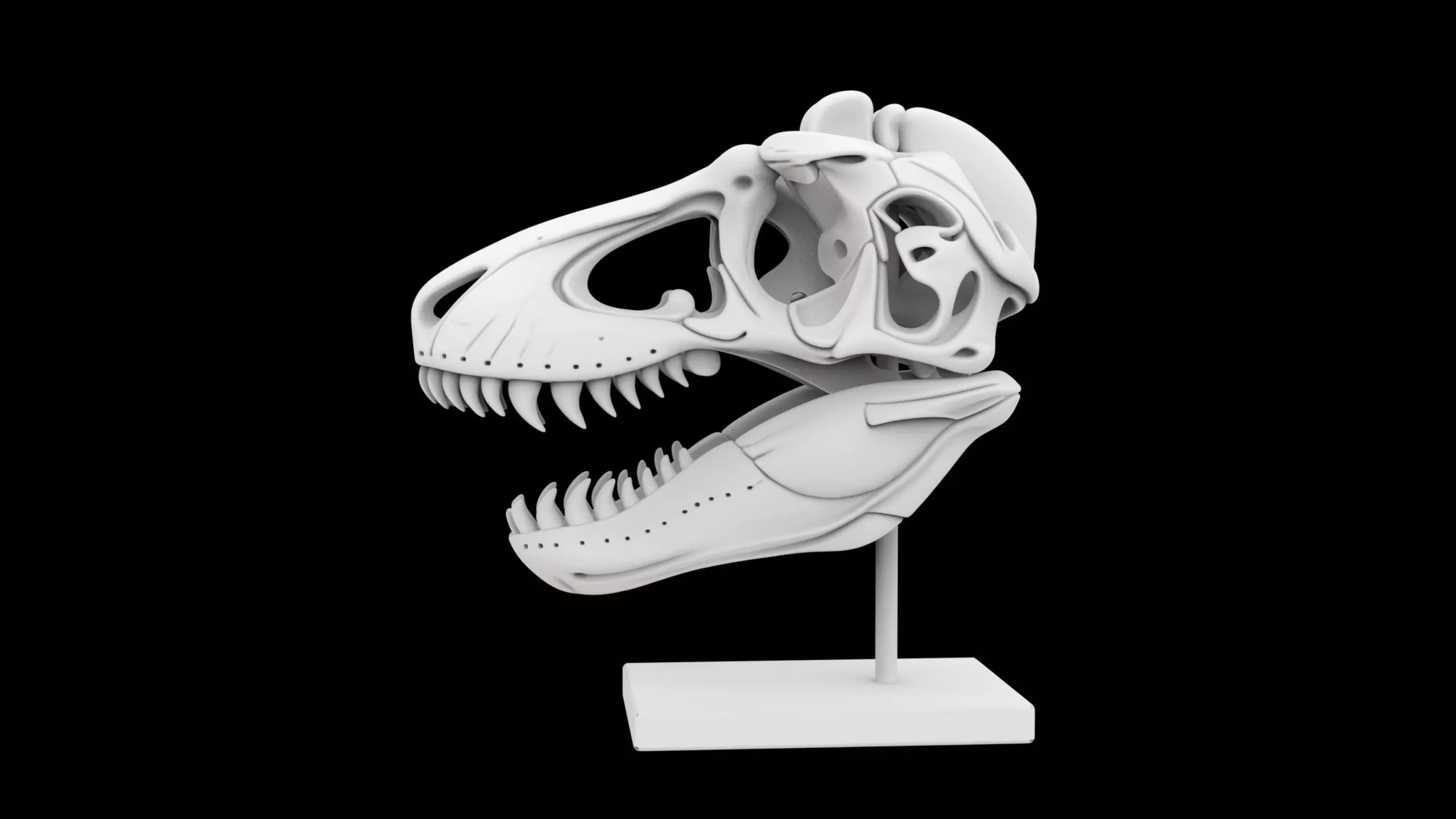 T-Rex Skull Fossil on Stand 3D Print Model 3D print model_2