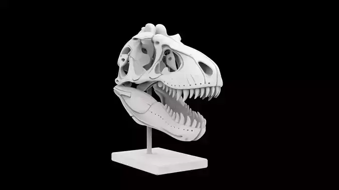 T-Rex Skull Fossil on Stand 3D Print Model