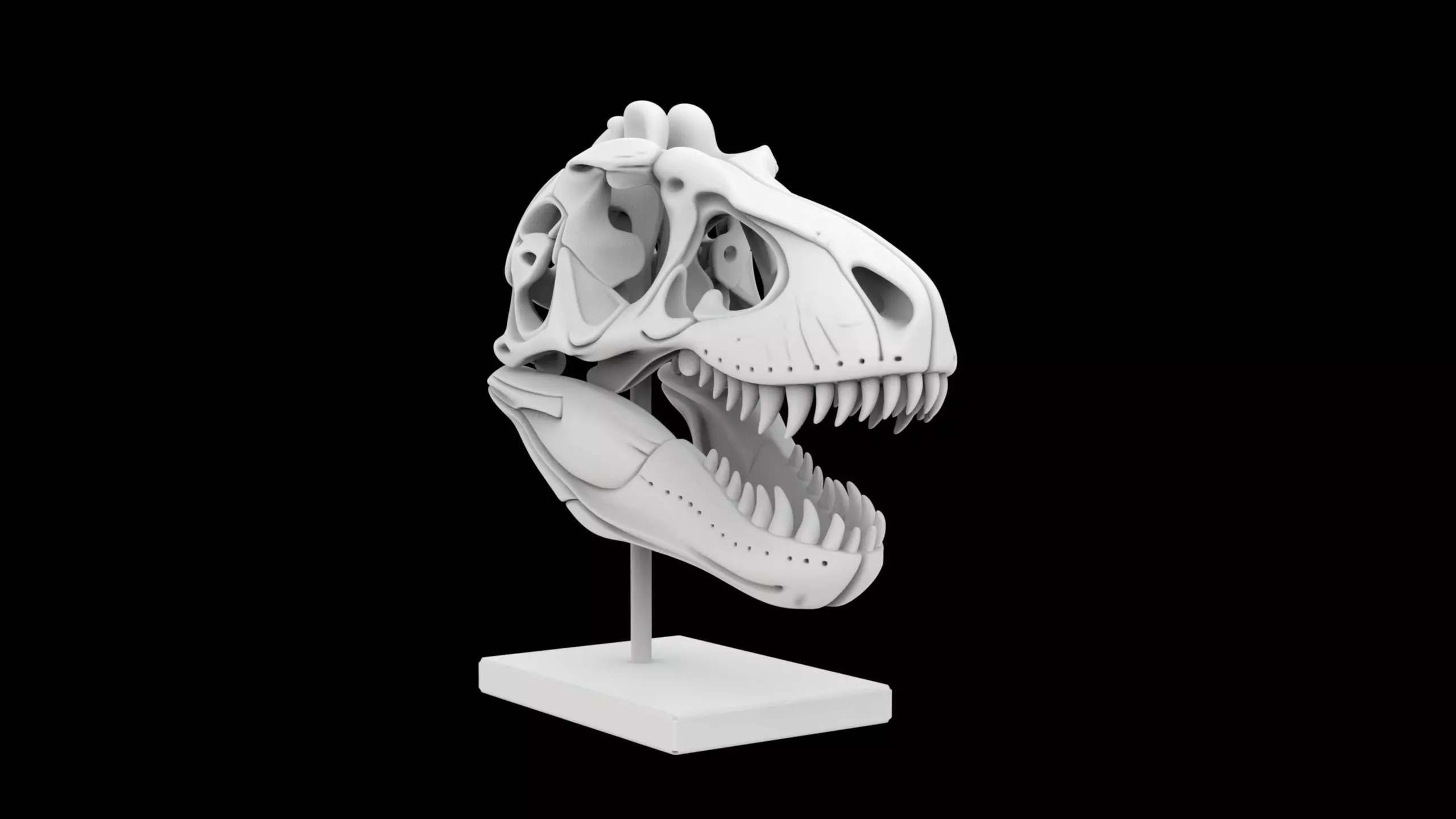 T-Rex Skull Fossil on Stand 3D Print Model 3D print model_0