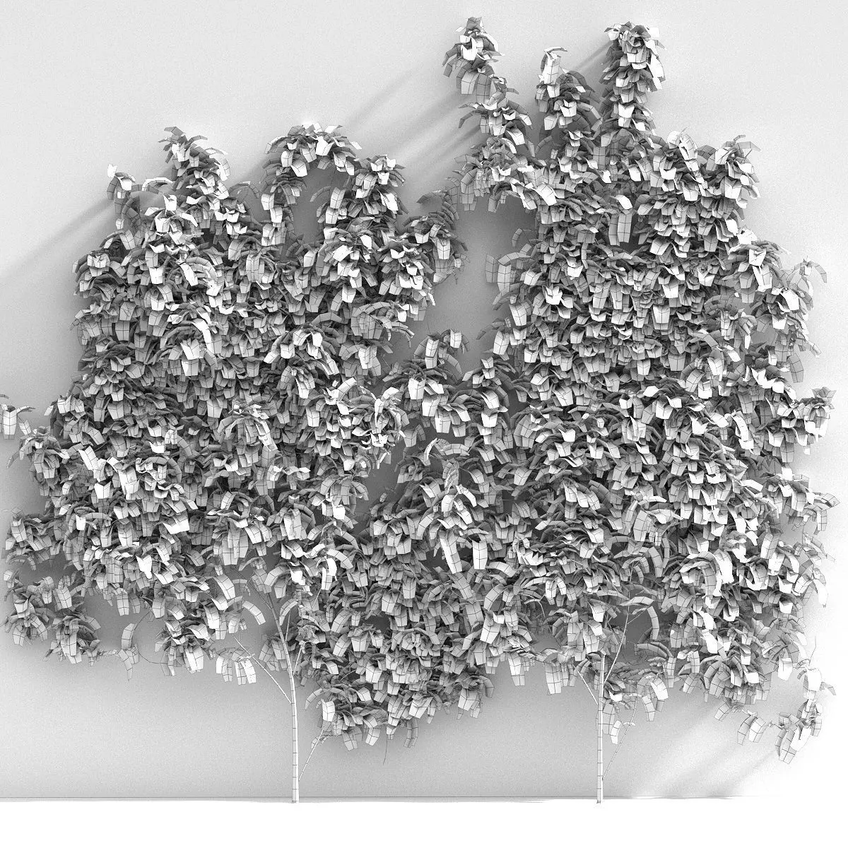 Wisteria for walls - 2 models 3D model_1