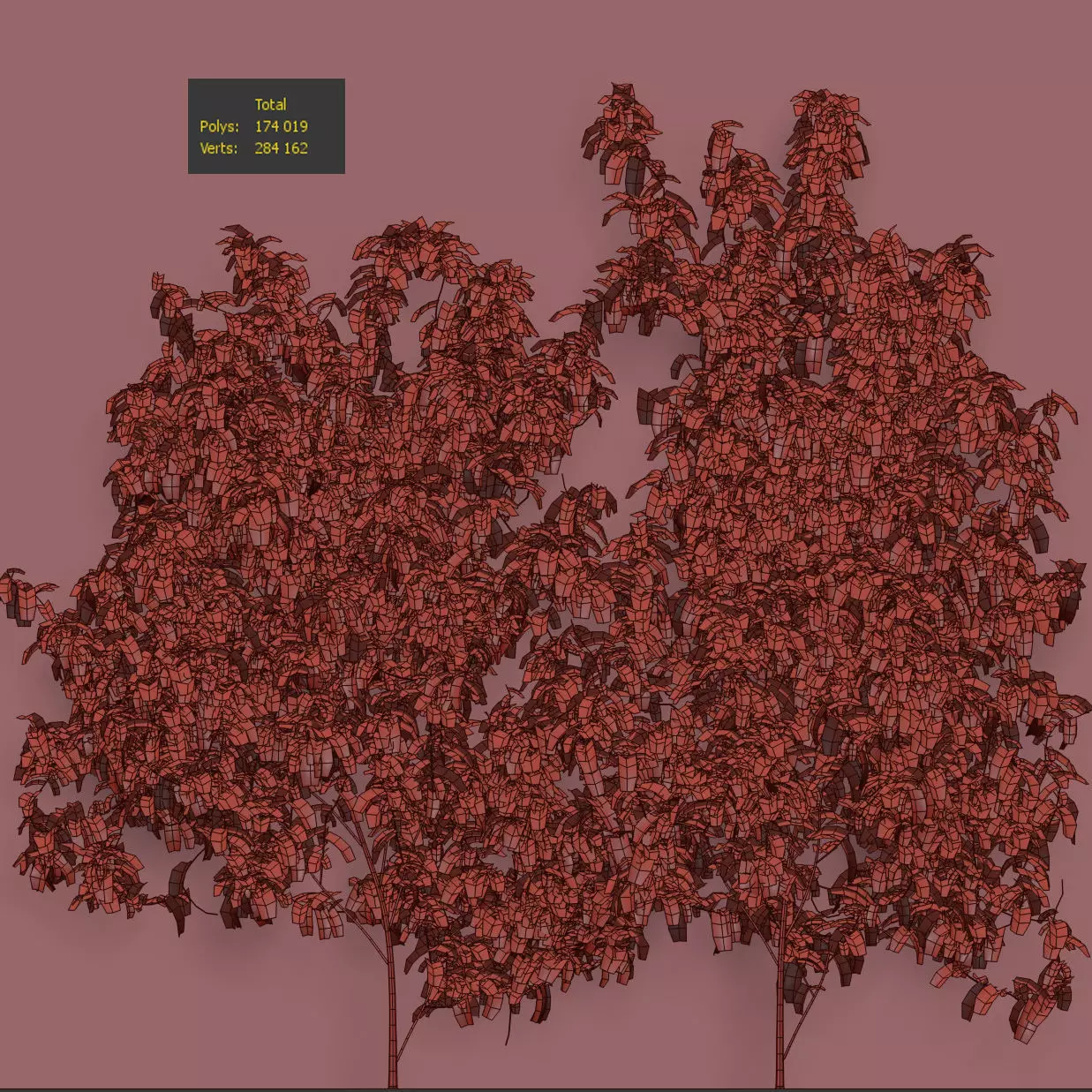 Wisteria for walls - 2 models 3D model_4