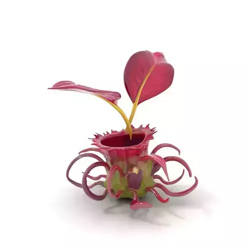 Exotic Carnivorous Plant model pack