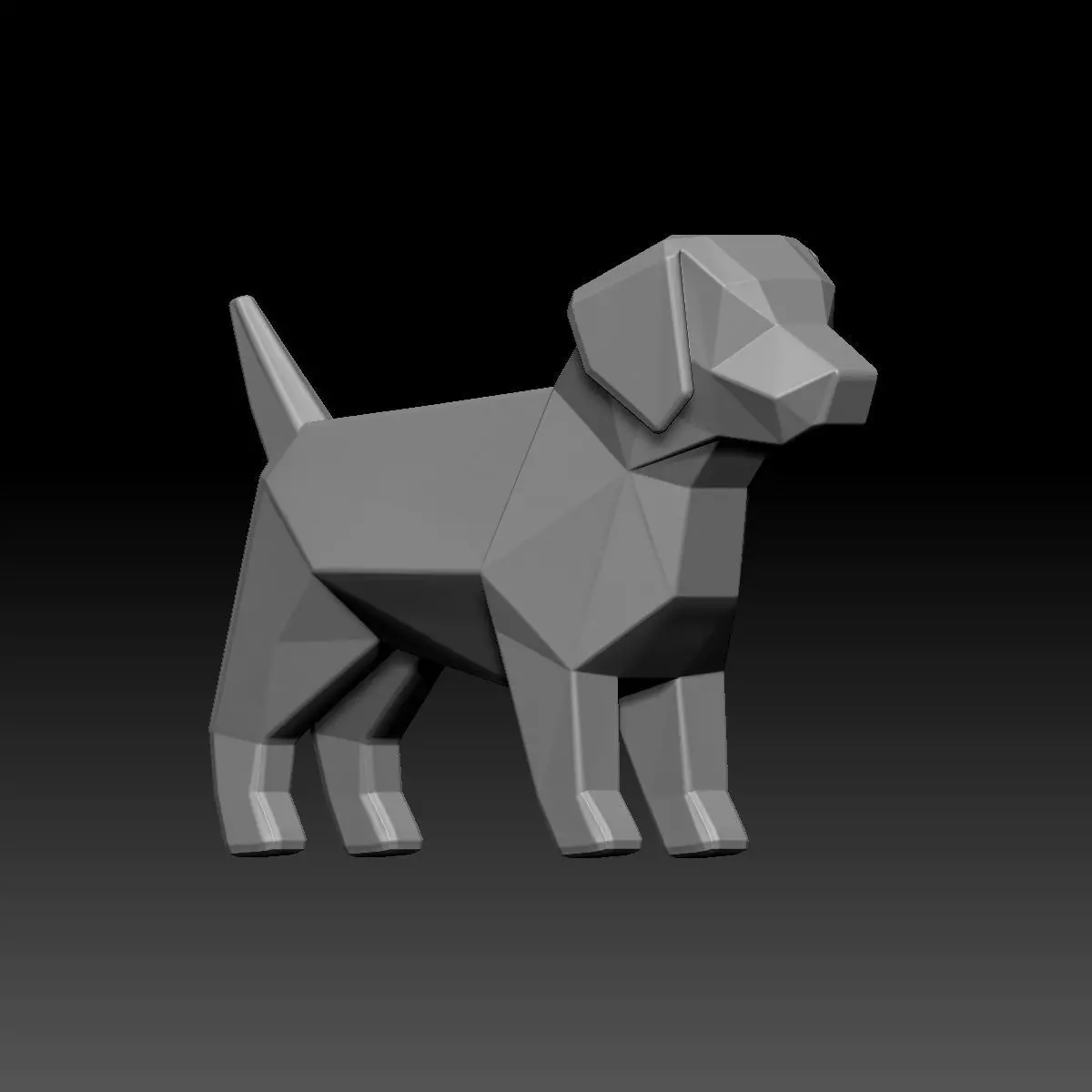 Polygon Dog 3D model_9