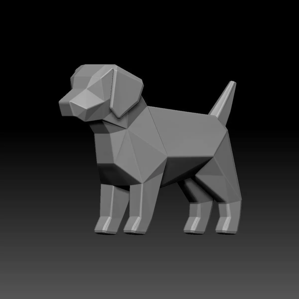 Polygon Dog 3D model_8