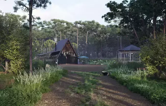 Modern A-Frame Cabin in Forest