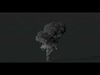 10 Smoke Animation 3D Models 3D Model Collection_9