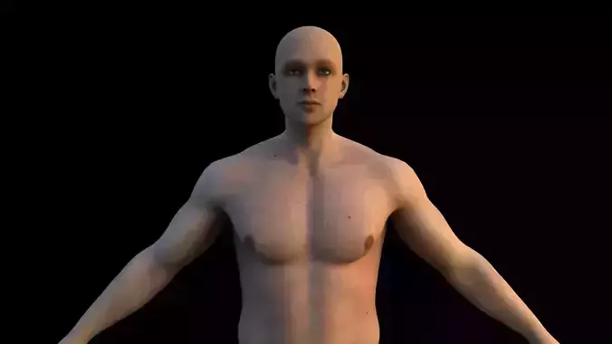 Realistic human body 3D model