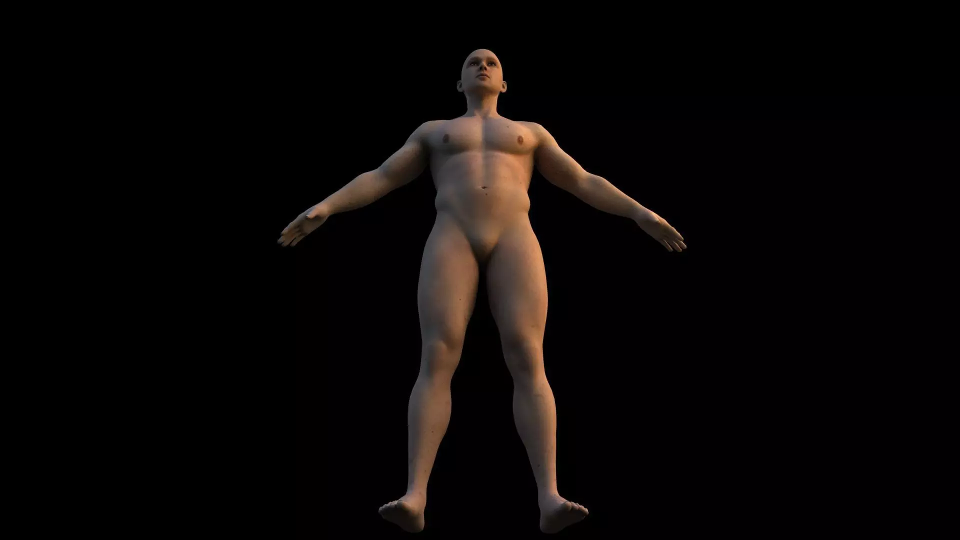Realistic human body 3D model_6