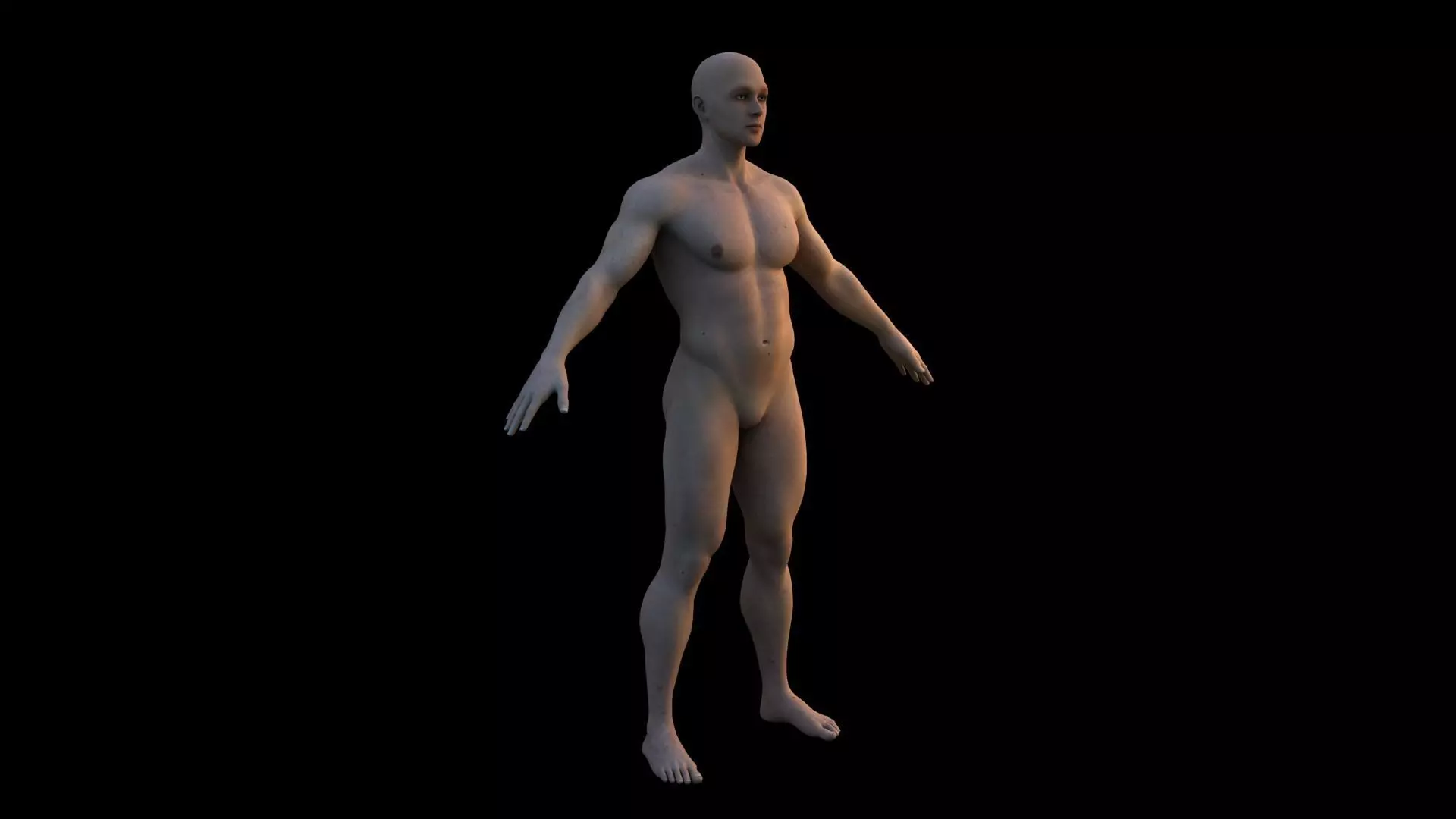 Realistic human body 3D model_4