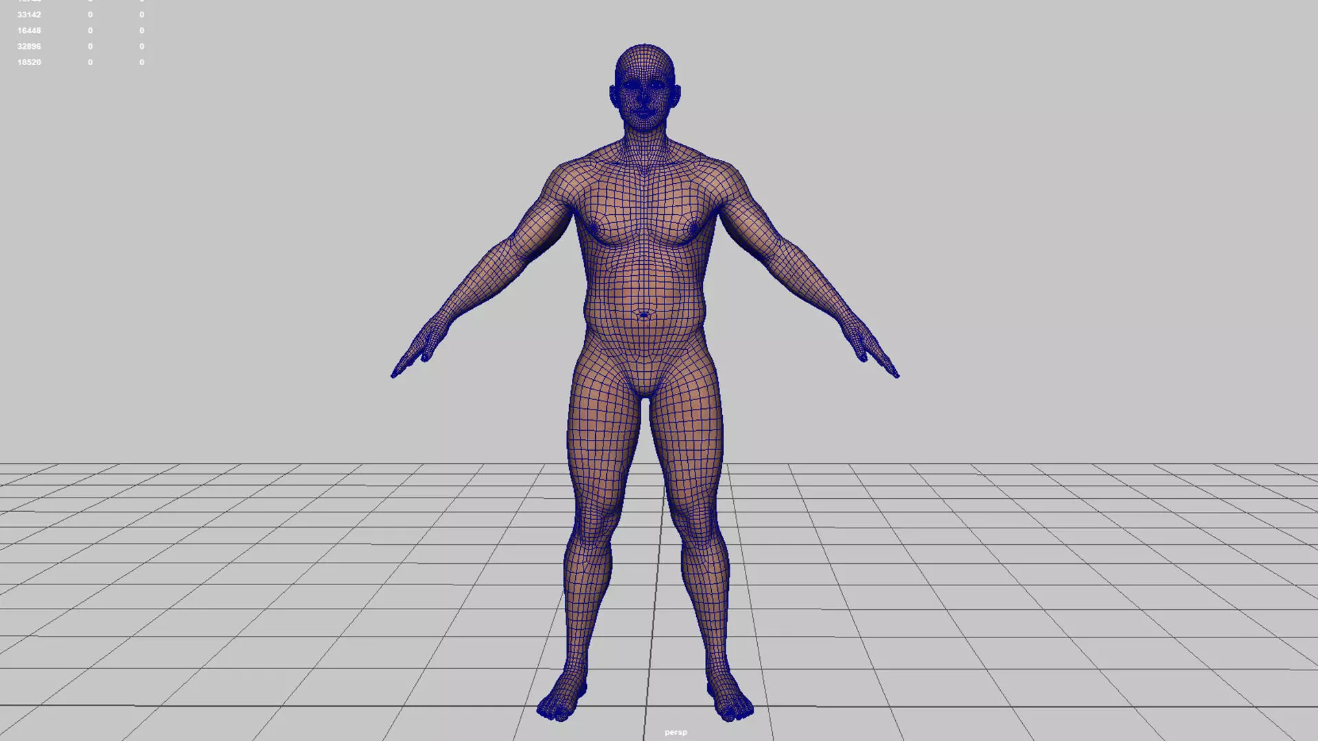 Realistic human body 3D model_7