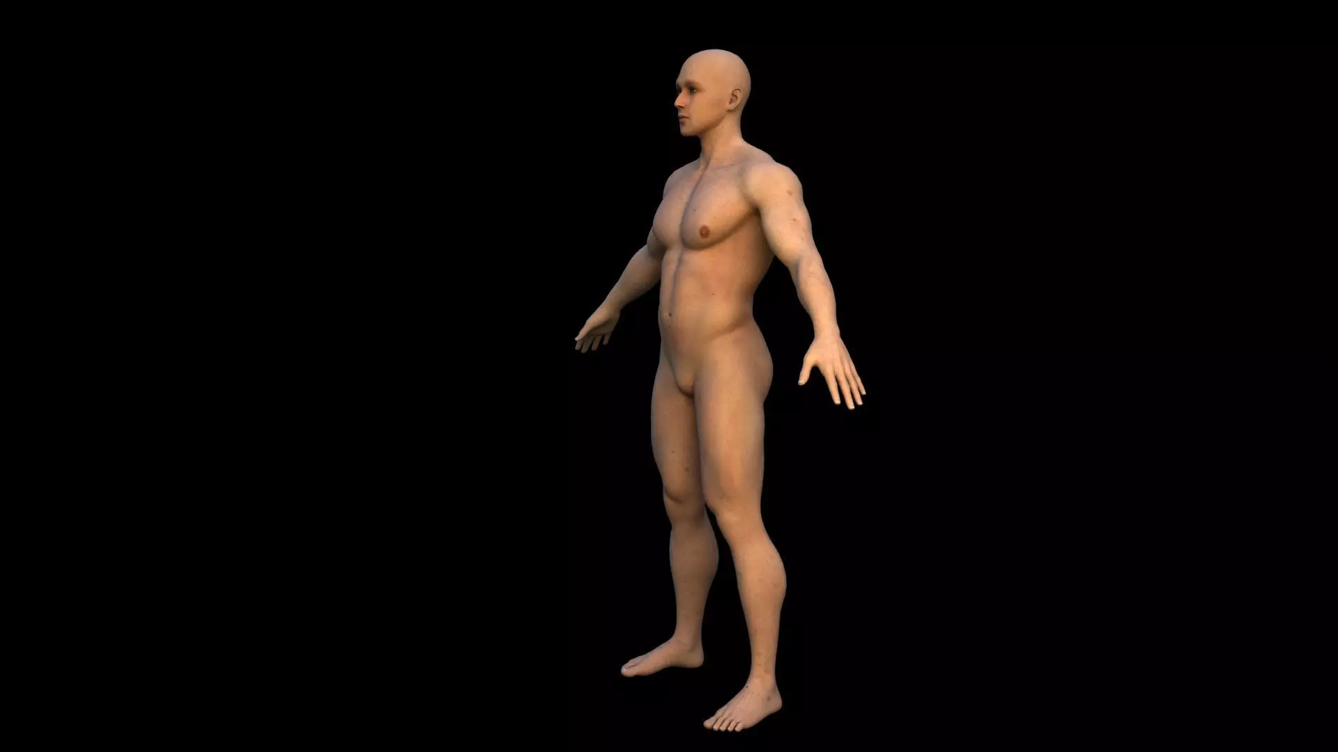 Realistic human body 3D model_2