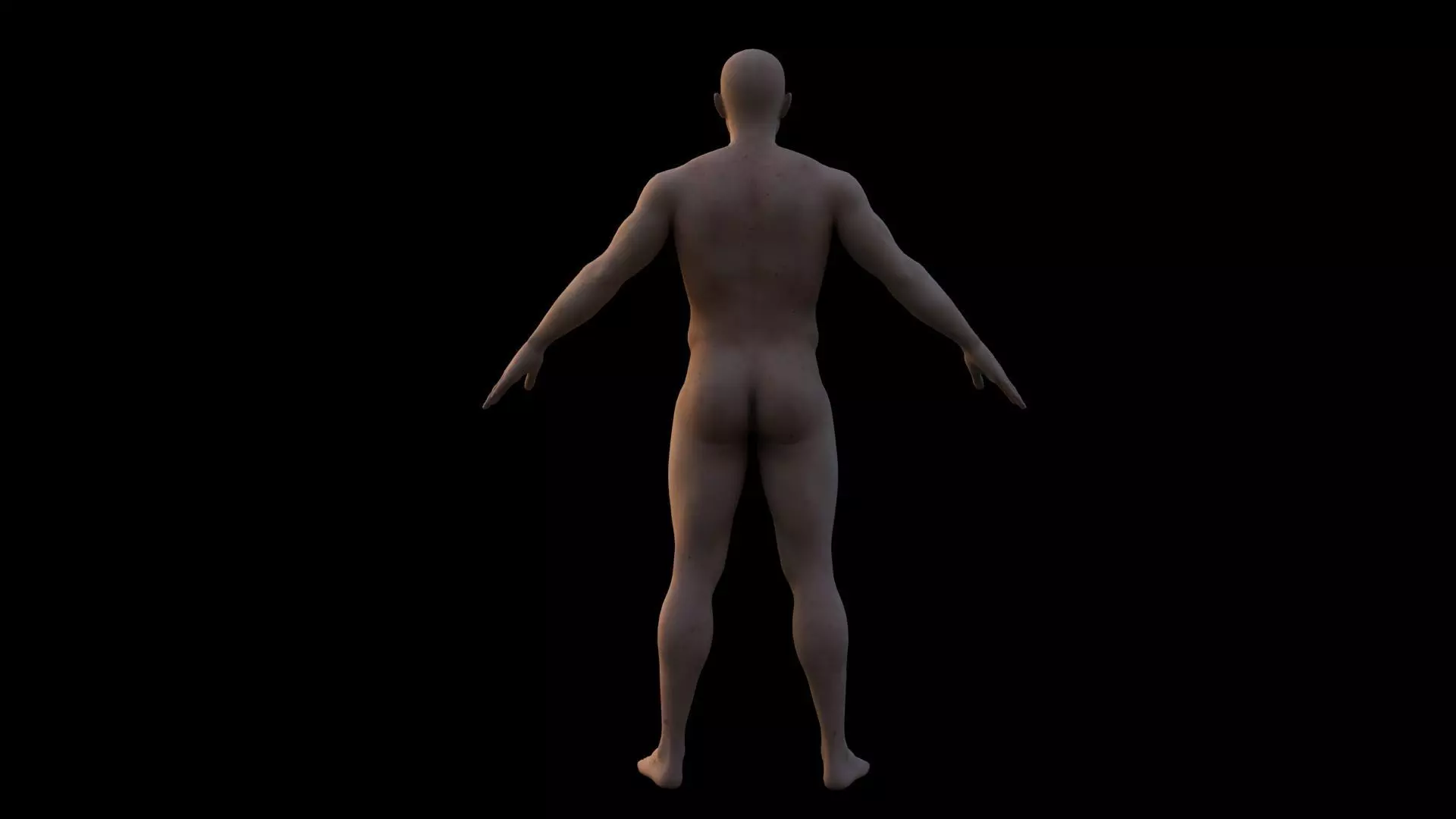 Realistic human body 3D model_3