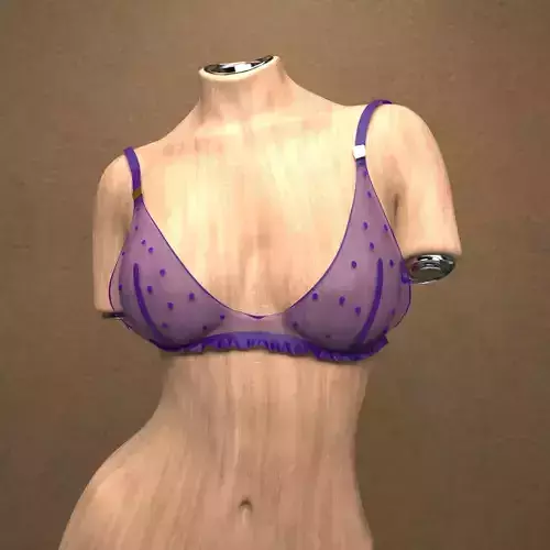 Silky Bra for Genesis 9