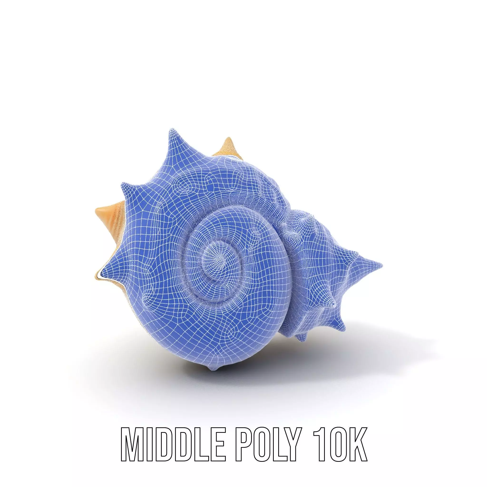 Spiral Conch model pack Low-poly 3D model_18