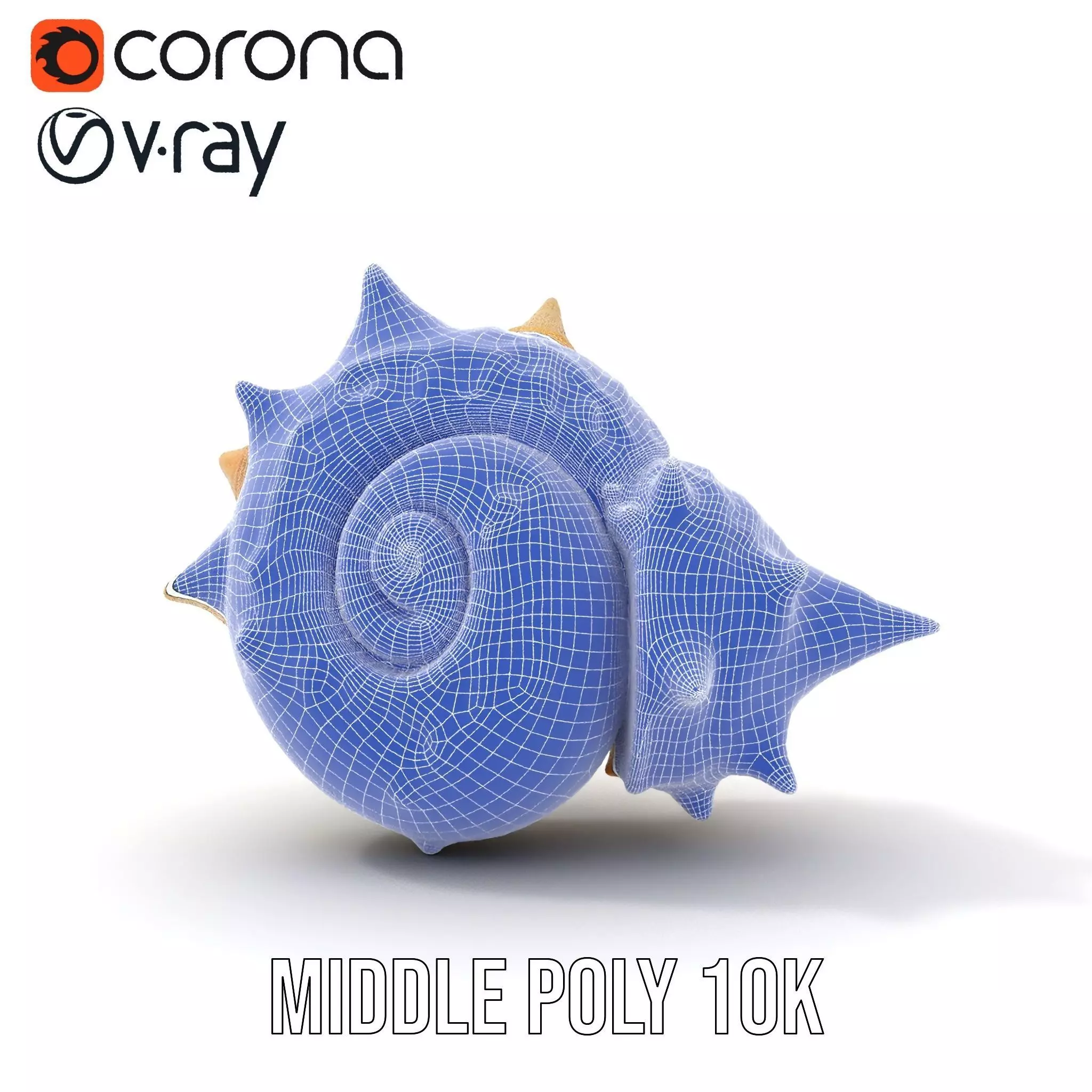 Spiral Conch model pack Low-poly 3D model_11