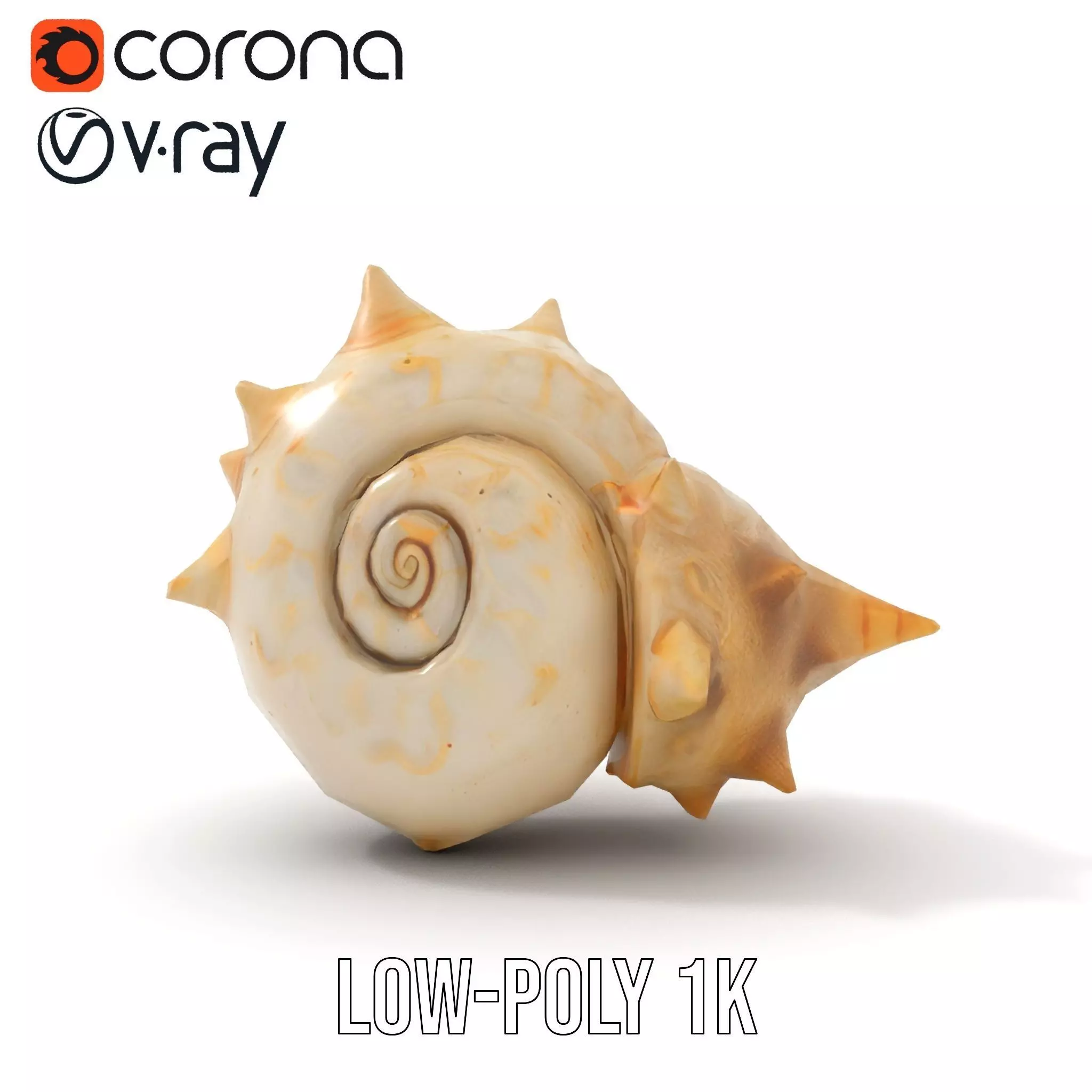 Spiral Conch model pack Low-poly 3D model_22
