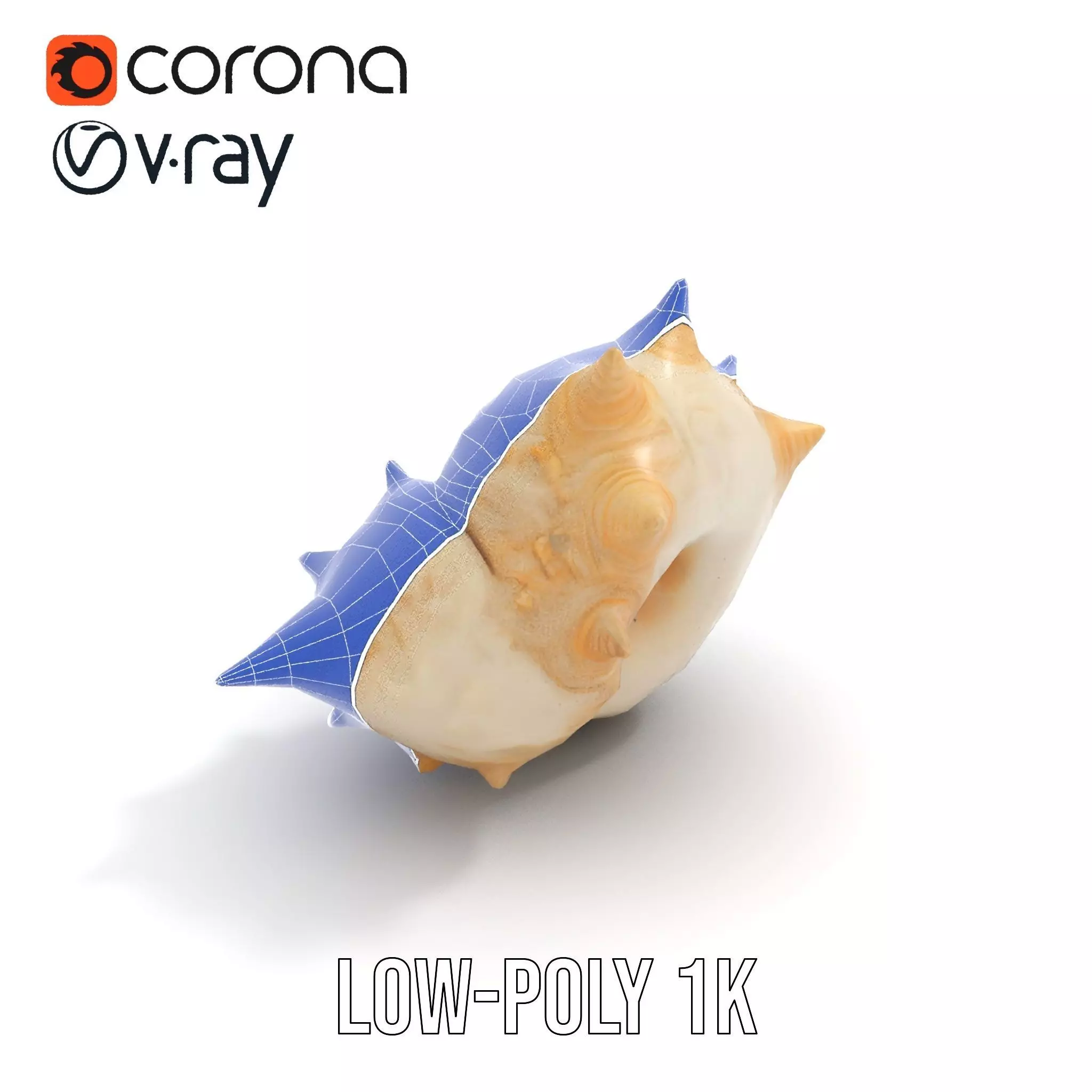 Spiral Conch model pack Low-poly 3D model_7