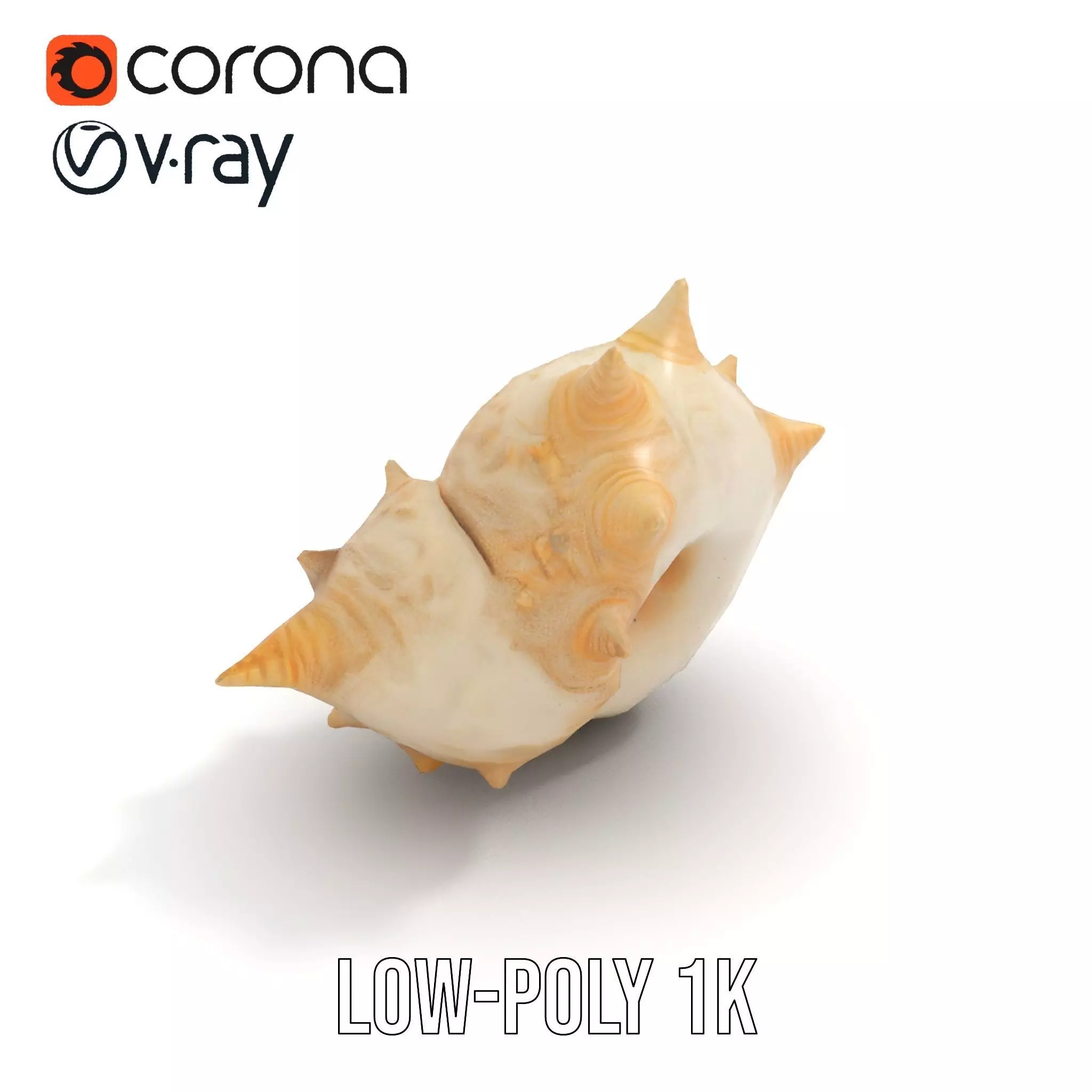 Spiral Conch model pack Low-poly 3D model_19