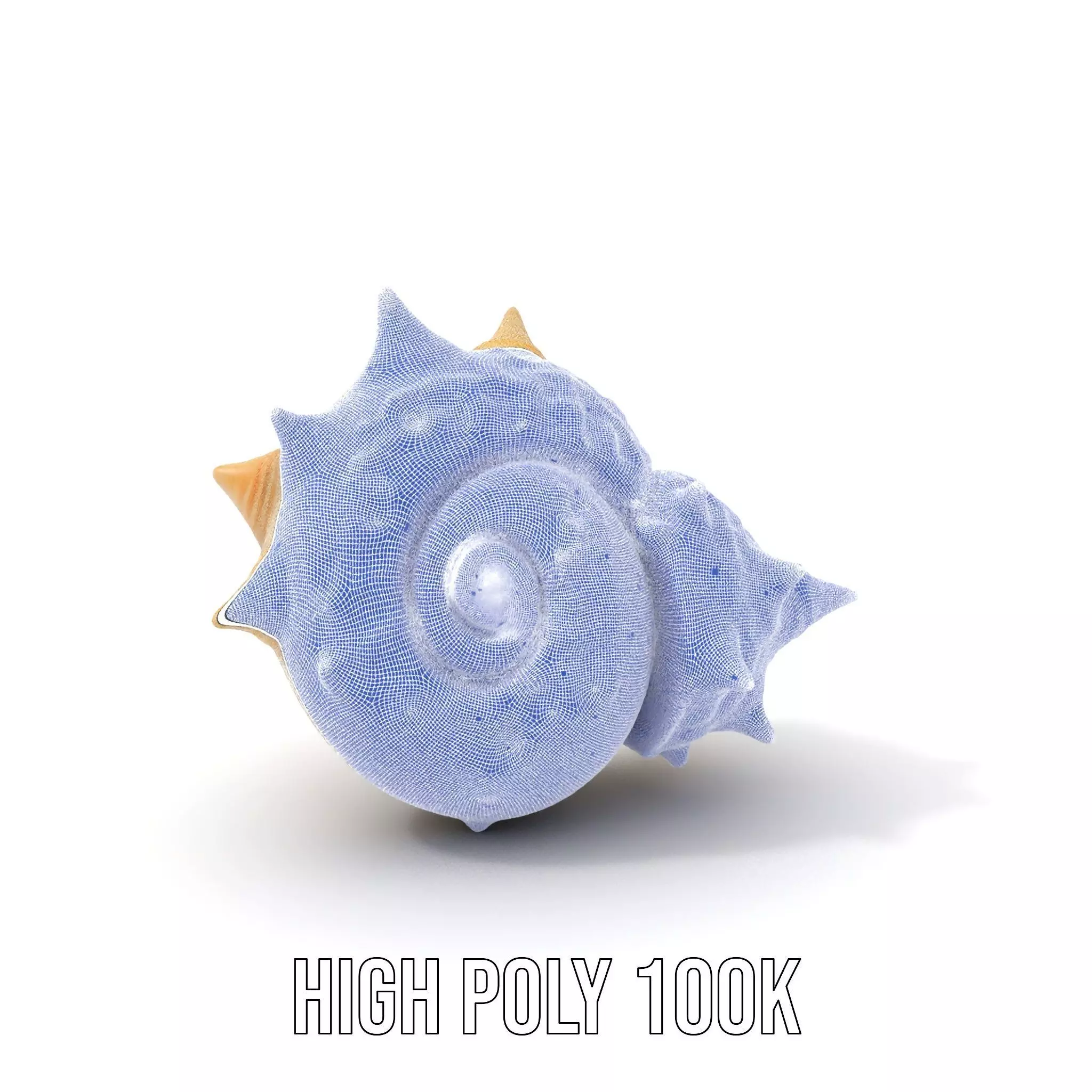 Spiral Conch model pack Low-poly 3D model_4