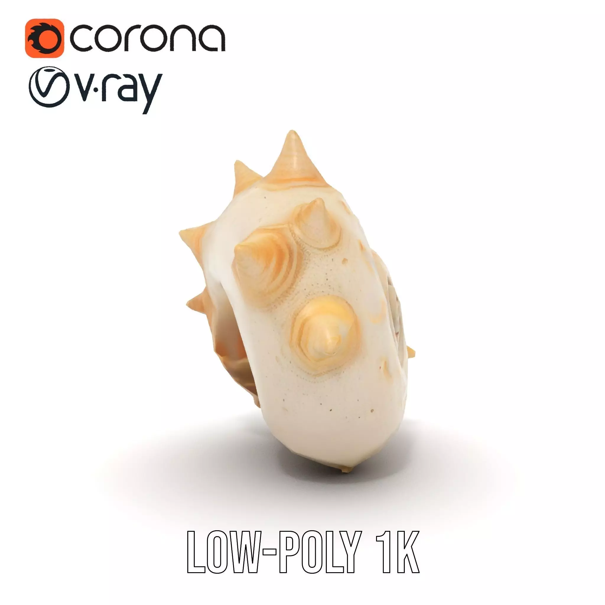 Spiral Conch model pack Low-poly 3D model_24