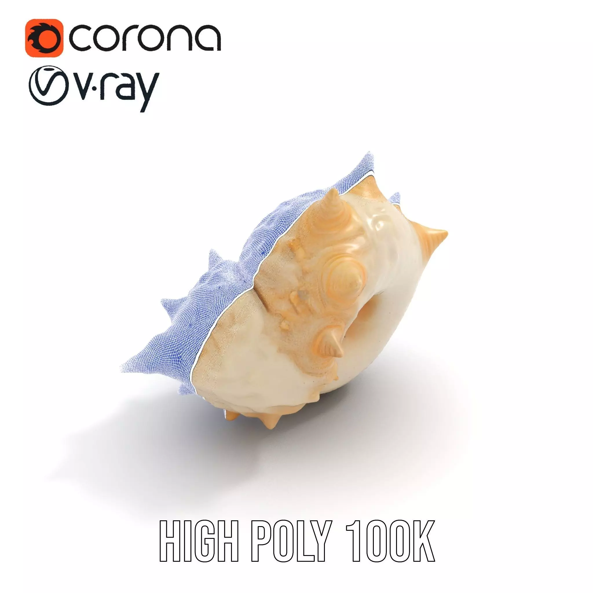 Spiral Conch model pack Low-poly 3D model_25
