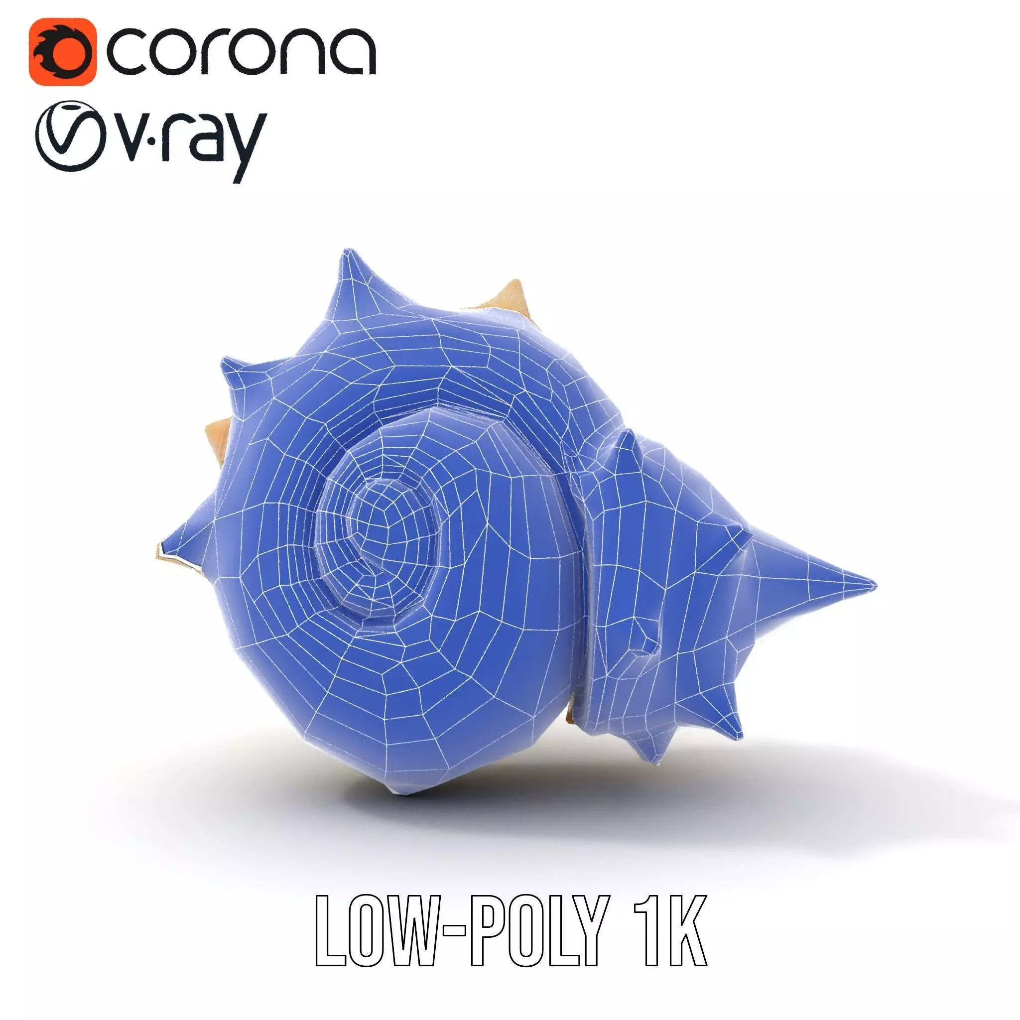 Spiral Conch model pack Low-poly 3D model_9