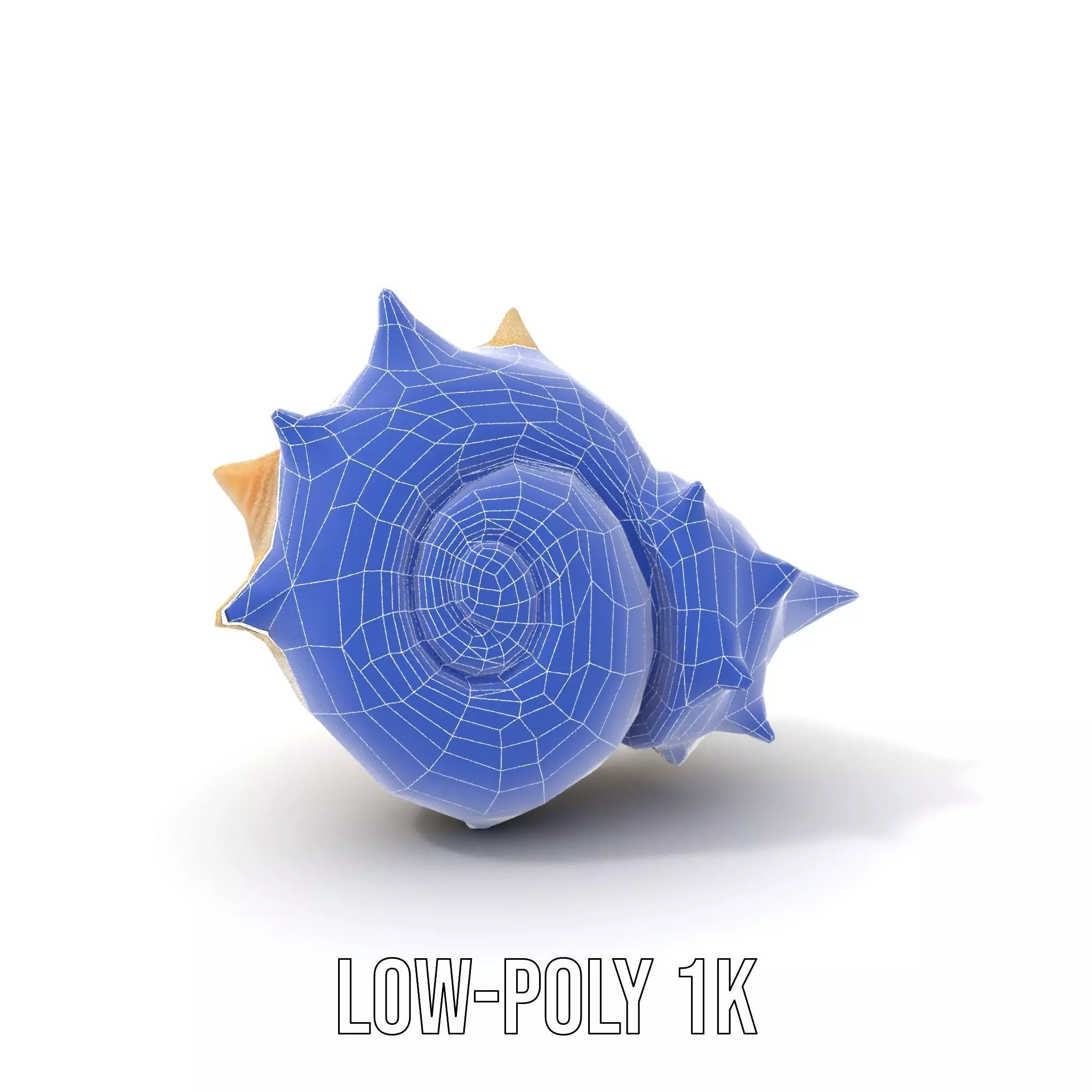 Spiral Conch model pack Low-poly 3D model_30