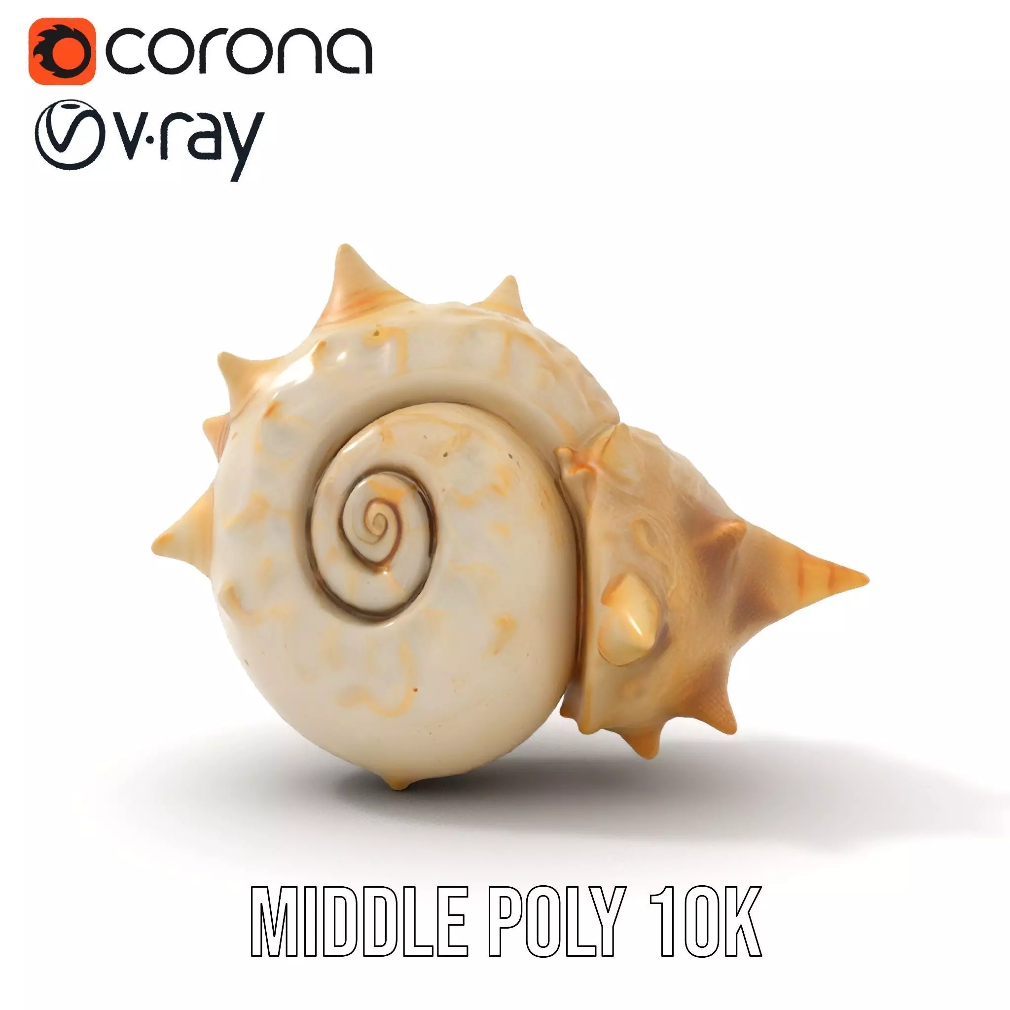 Spiral Conch model pack Low-poly 3D model_15