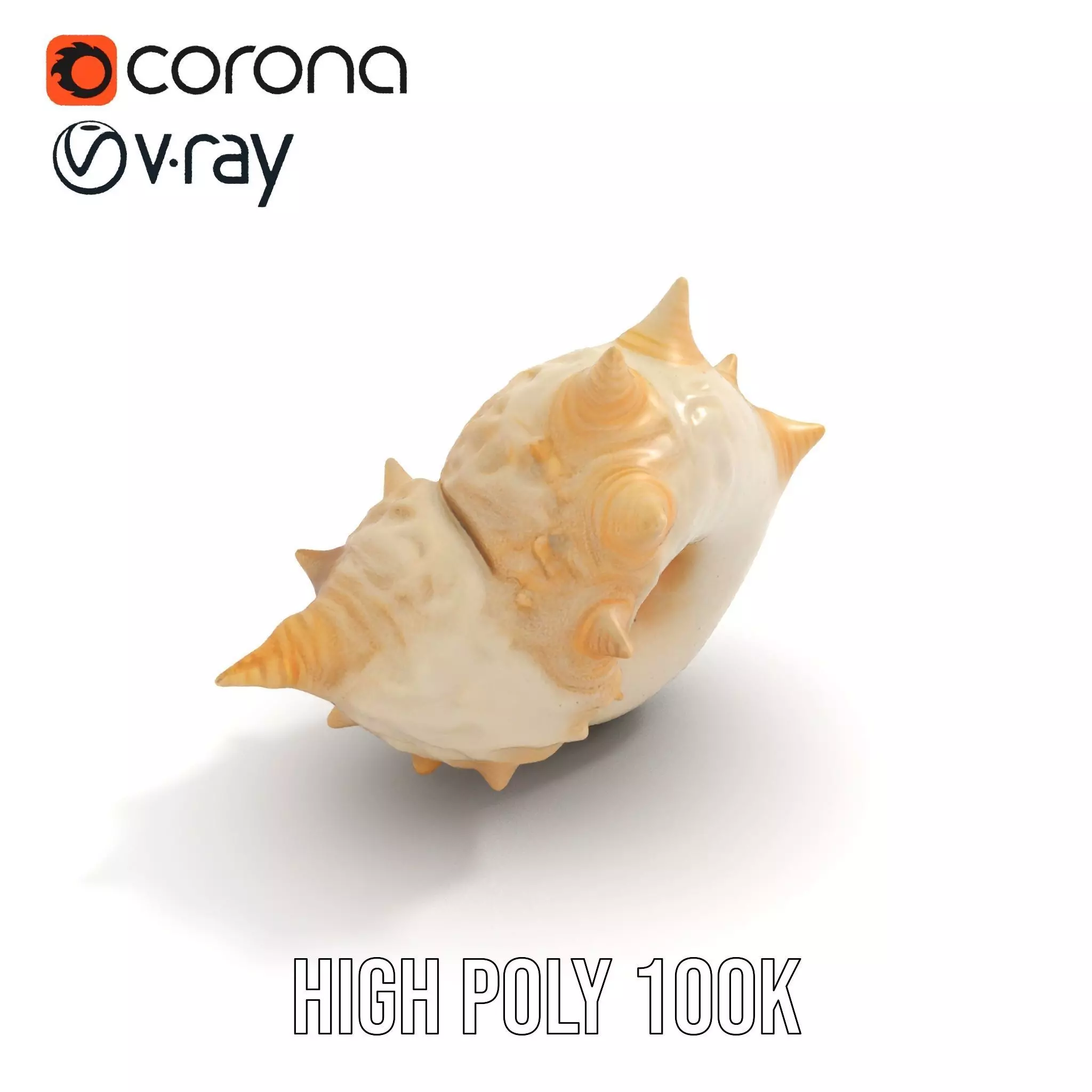 Spiral Conch model pack Low-poly 3D model_31
