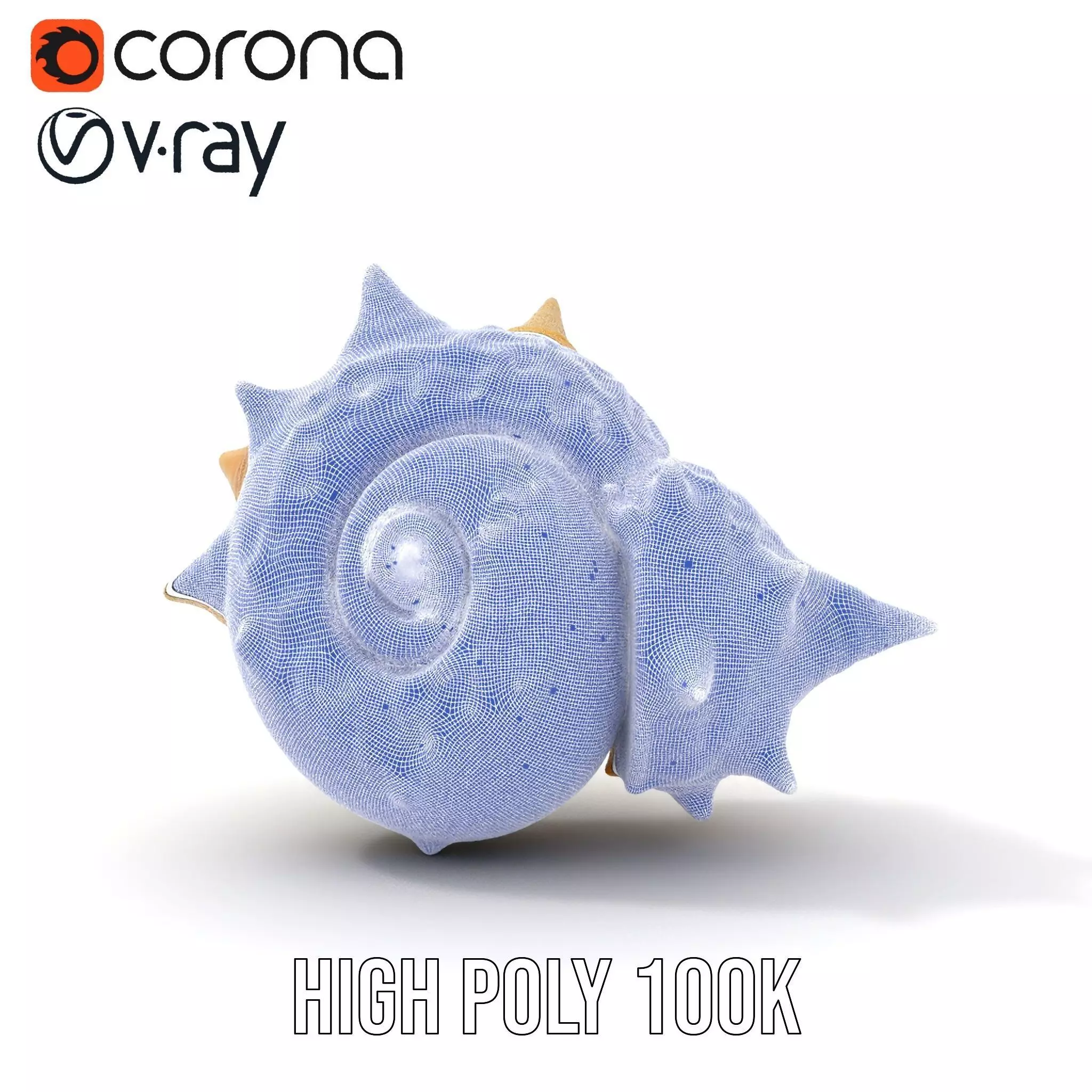 Spiral Conch model pack Low-poly 3D model_32