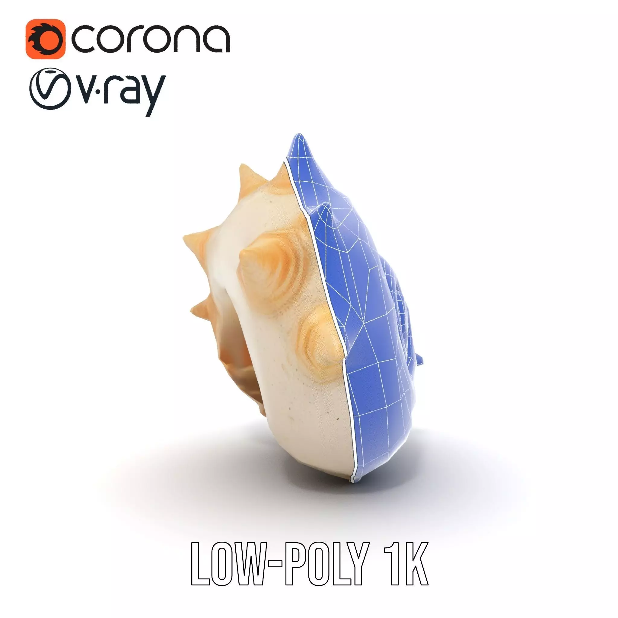Spiral Conch model pack Low-poly 3D model_27