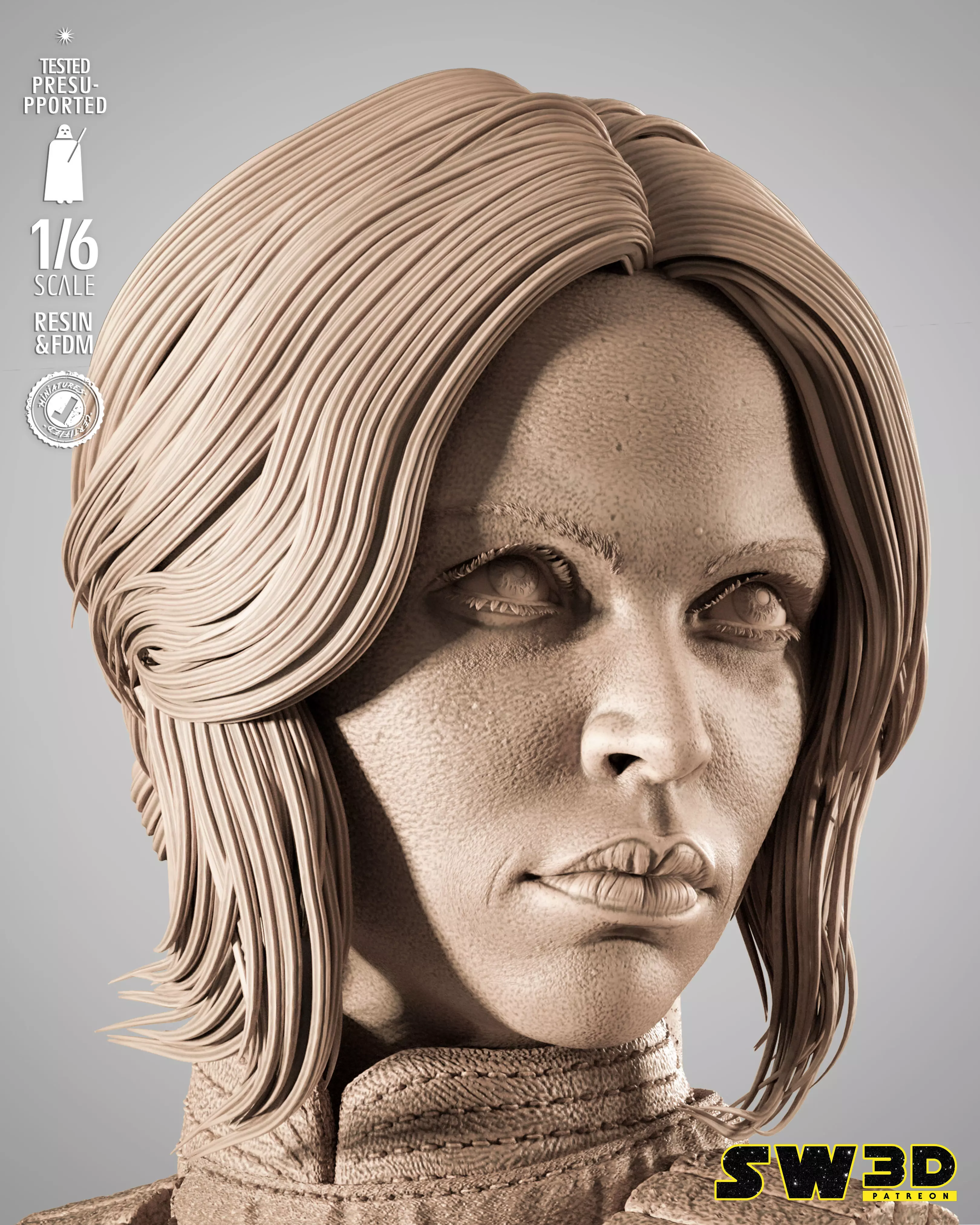 STAR WARS Jyn Erso Sculpture 3D print model_6