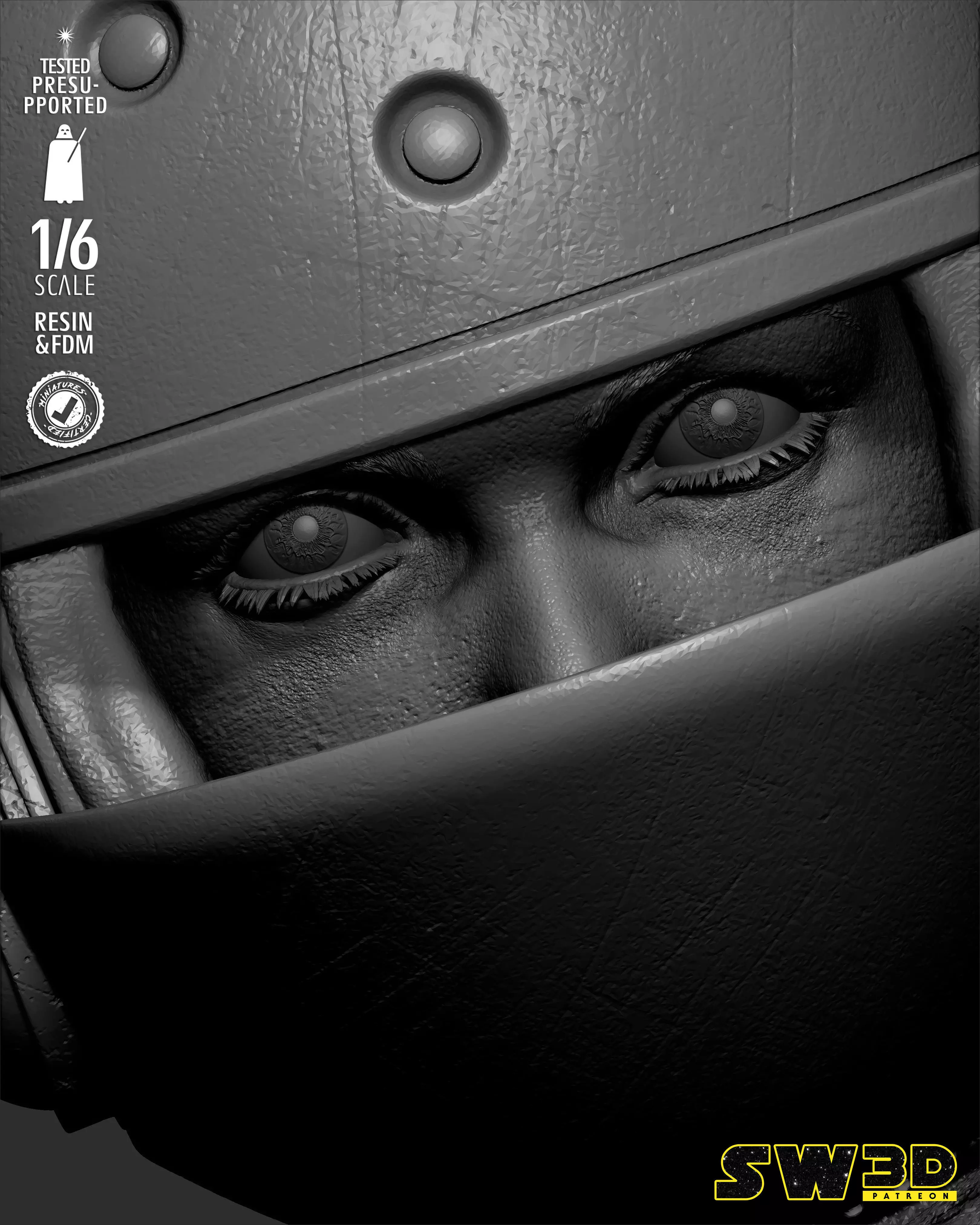 STAR WARS Jyn Erso Sculpture 3D print model_44