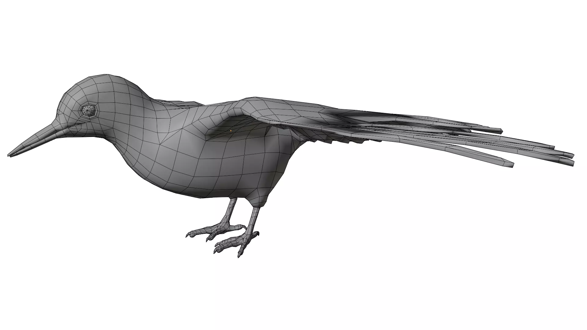 Red Bellied Woodpecker 3D model_9