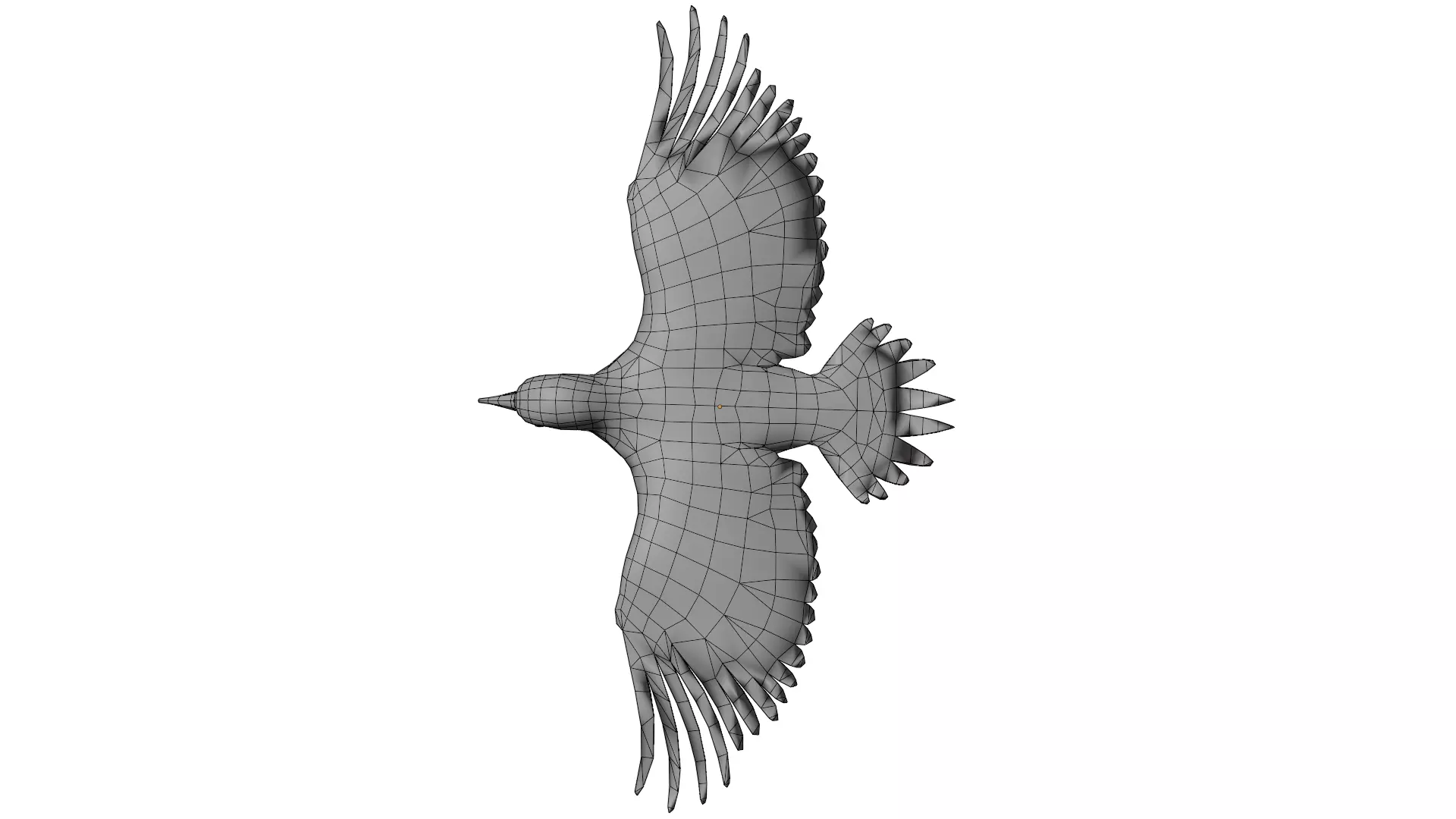 Red Bellied Woodpecker 3D model_17