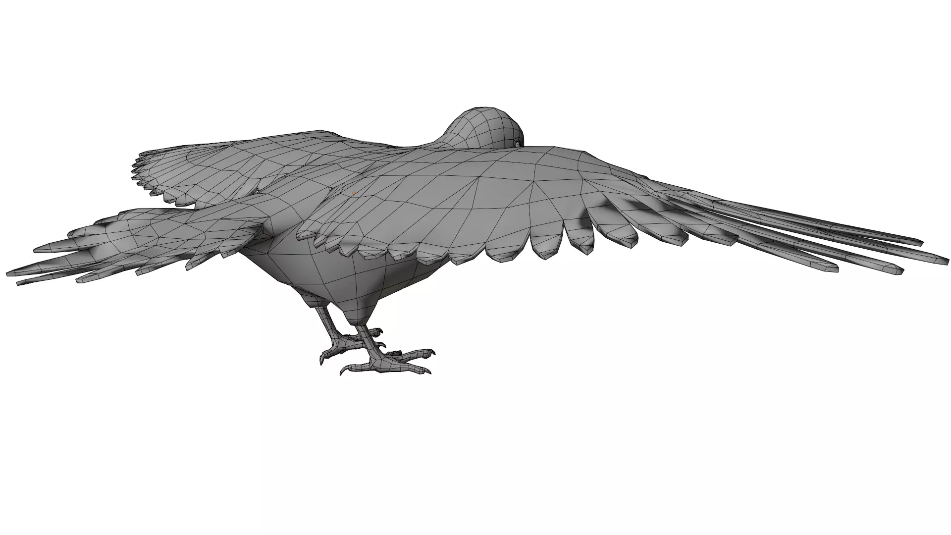 Red Bellied Woodpecker 3D model_13