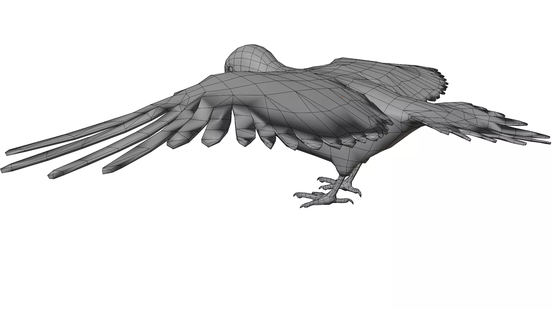 Red Bellied Woodpecker 3D model_11