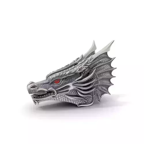 Silver Dragon Head model pack