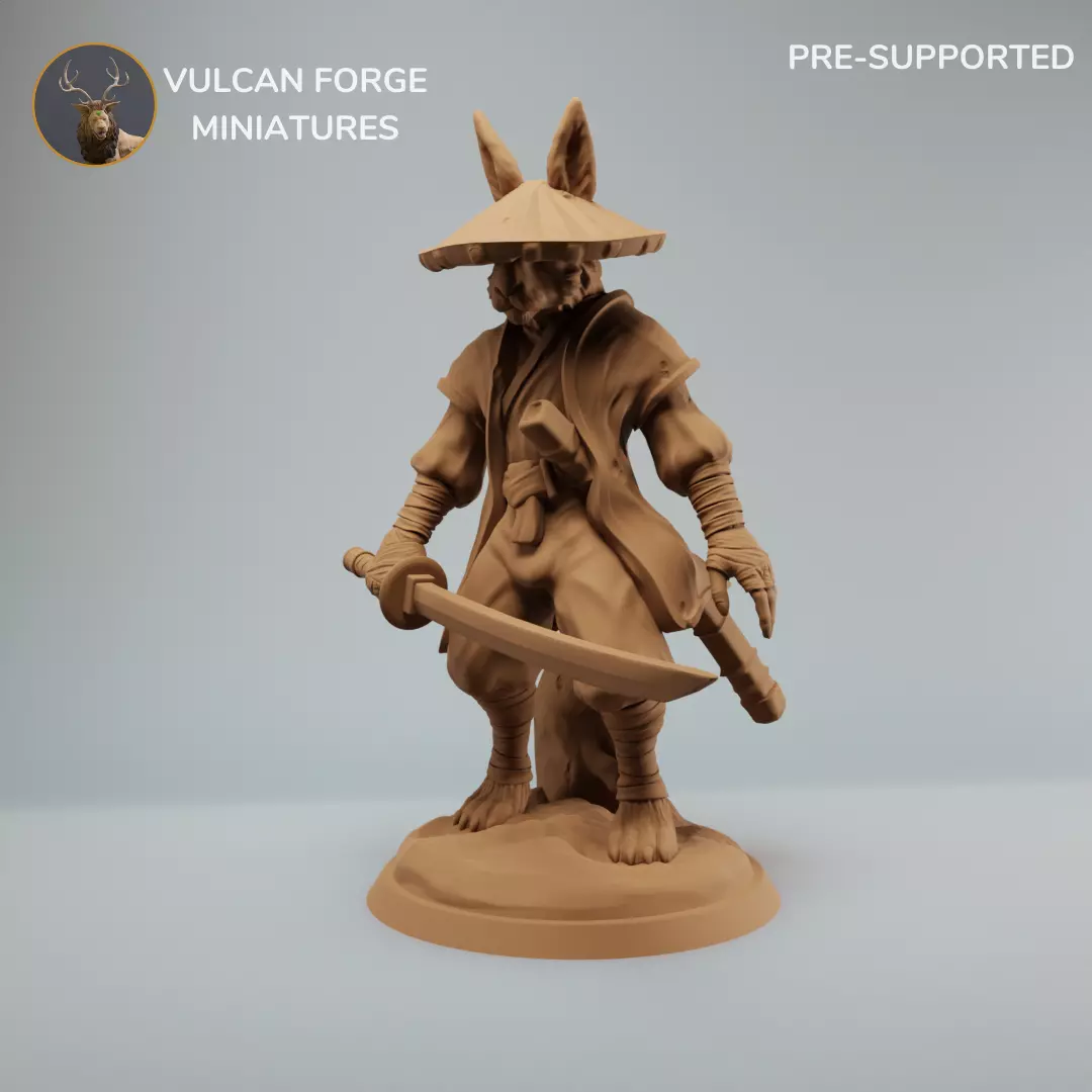 Harengon Samurai Rabbit Folk Samurai 3D print model_0